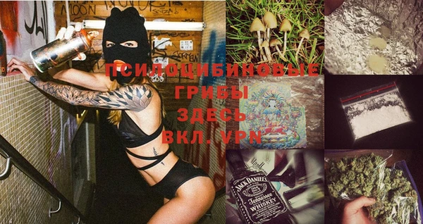 эйфоретик Балахна