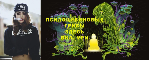 эйфоретик Балахна