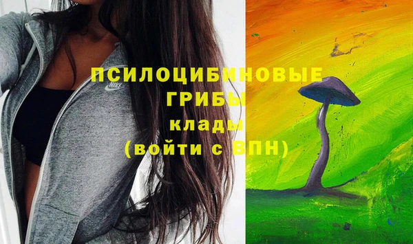 эйфоретик Балахна