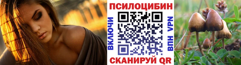 кракен ССЫЛКА Светогорск Псилоцибиновые грибы мицелий